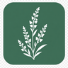 Calluna
